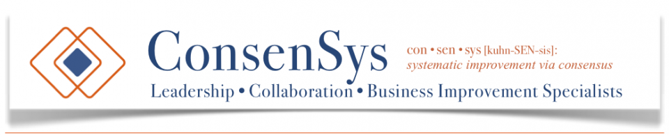 ConsenSys Group - Leadership | Collaboration | Business Improvement Specialists